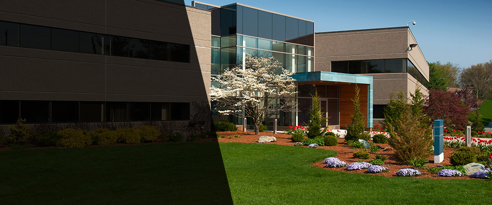 Naperville Landscapers