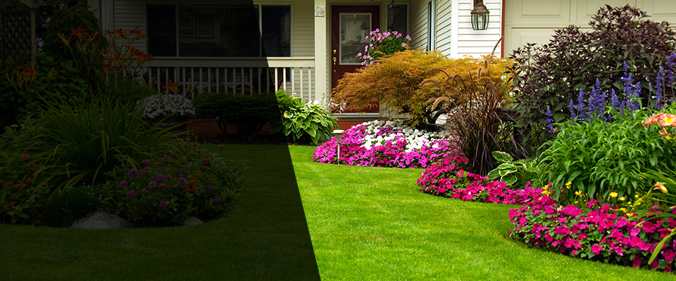 Naperville Landscapers