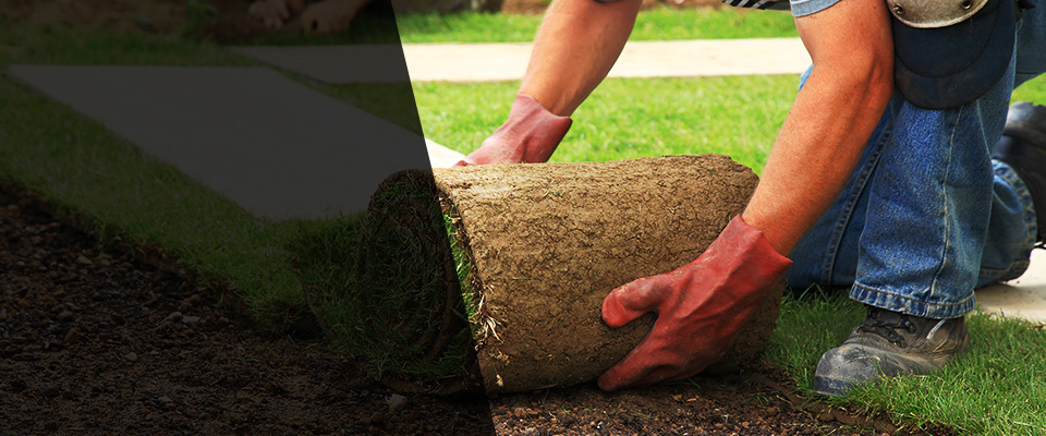 Naperville Landscapers
